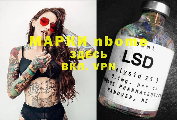 индика Абинск