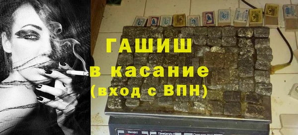 гидра Абаза