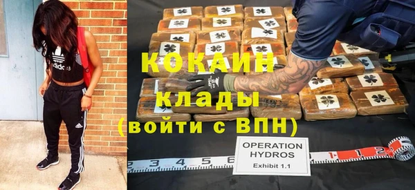 гидра Абаза