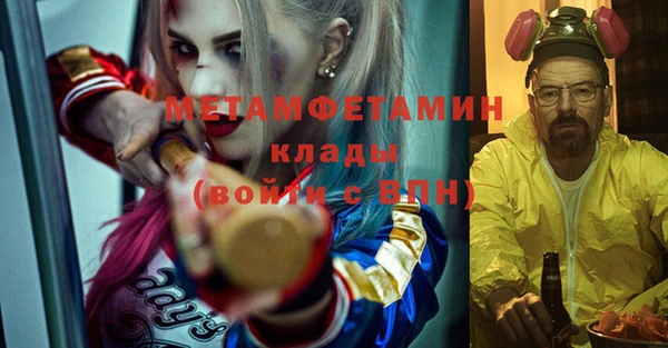 индика Абинск