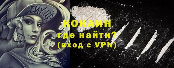 гидра Абаза