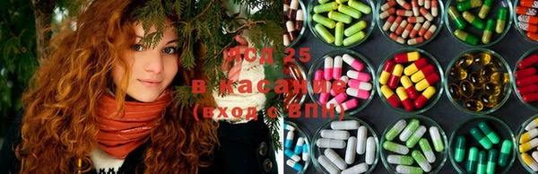индика Абинск