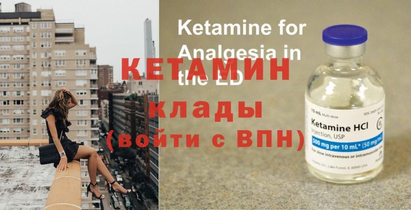 гидра Абаза