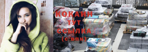 гидра Абаза