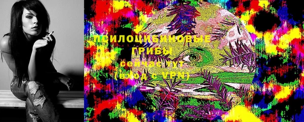 гидра Абаза