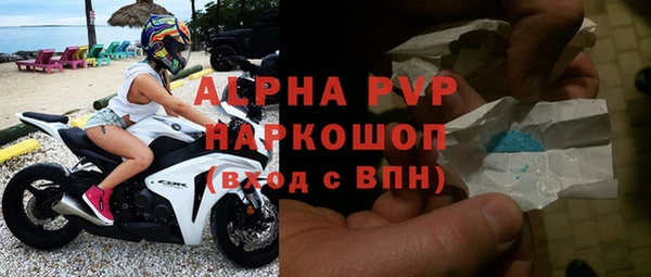 гидра Абаза