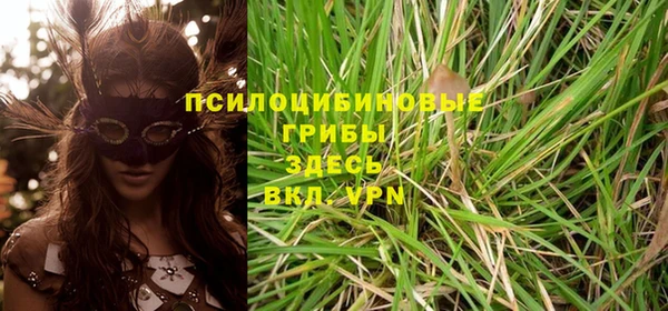бошки Абдулино