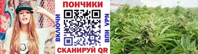 Каннабис гибрид  где найти   Собинка 